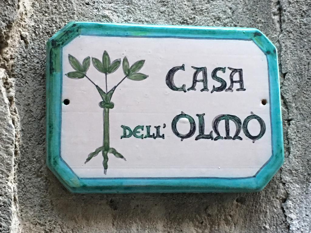 Casa Dell'Olmo Apartment Orvieto Luaran gambar