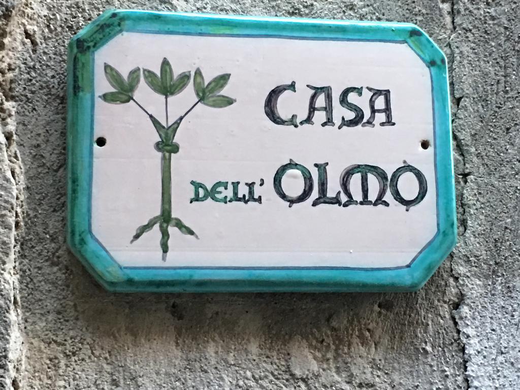Casa Dell'Olmo Apartment Orvieto Luaran gambar